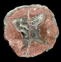 Felsenschlag Thunderegg